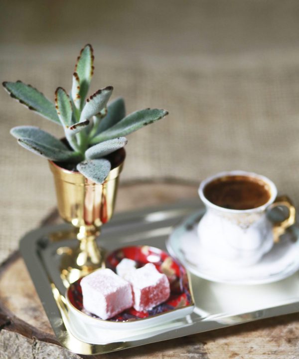 _MG_3721 MG 3721