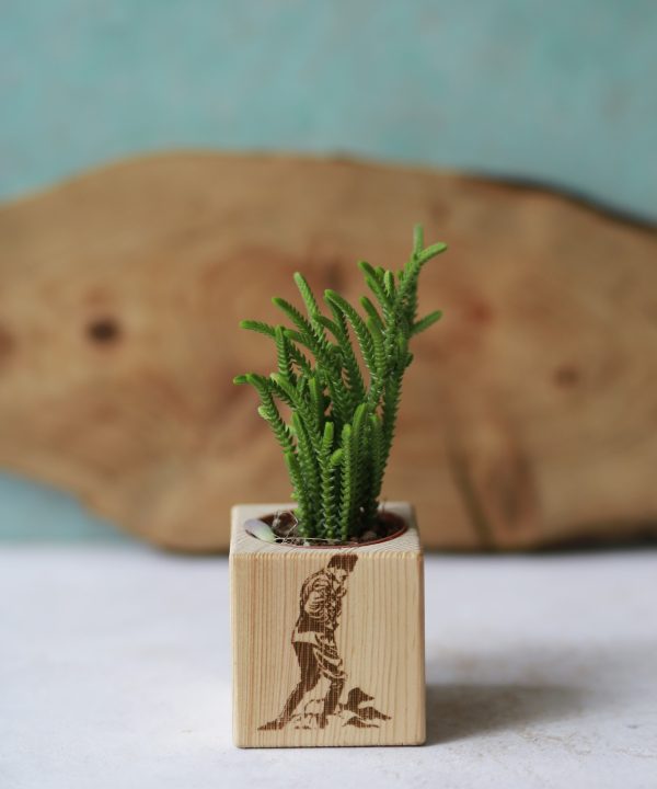 _MG_9658 MG 9658