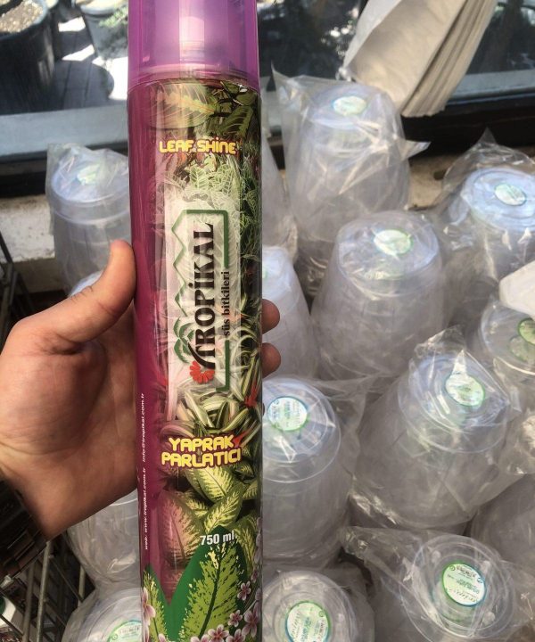 Yaprak Parlatıcı Leaf Shine